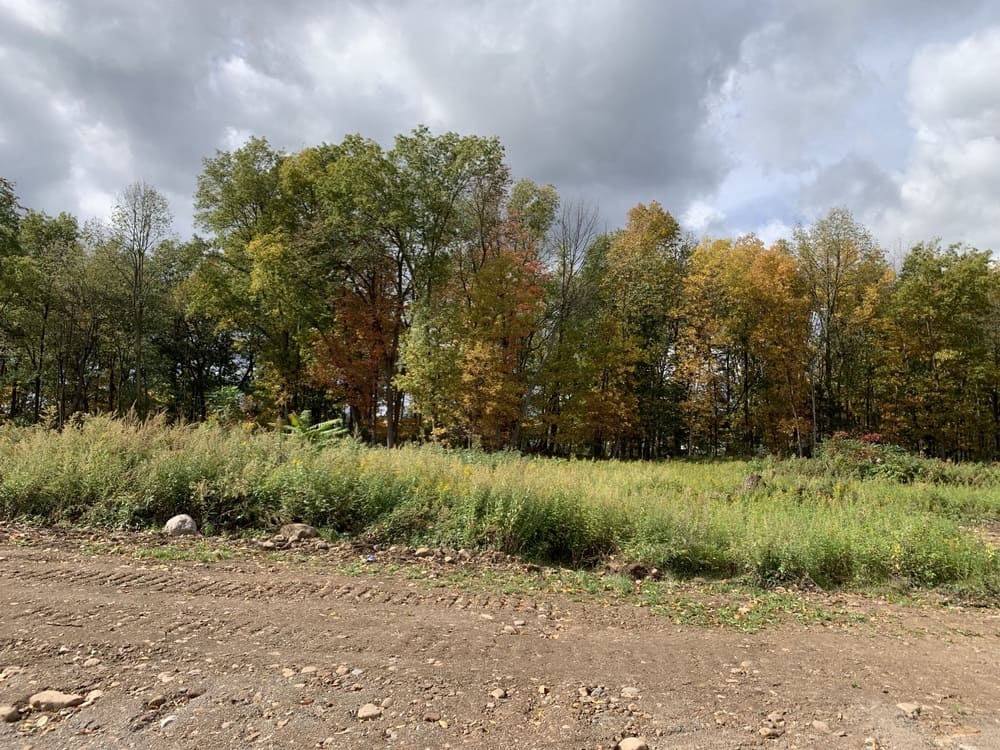 Kemp Drive in Macedon, New York
