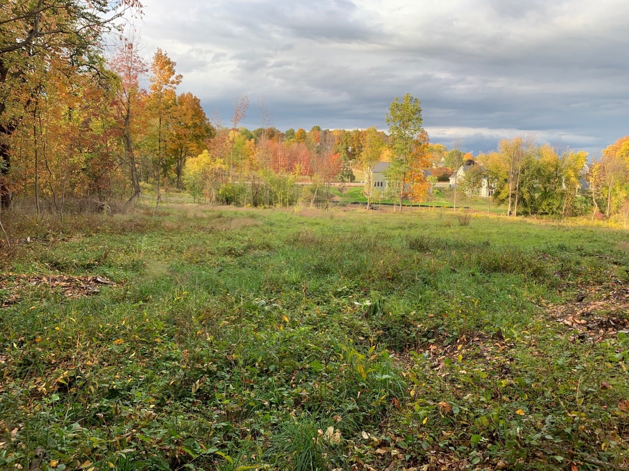 Scout Reserve, Victor, NY